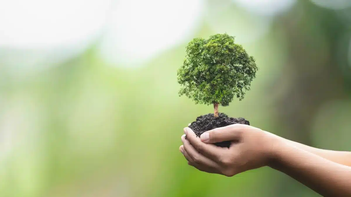 L’importance des métiers de la transition écologique